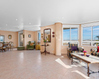 Revente - Apartment / Flat - Torrevieja - Torrevieja - Centre