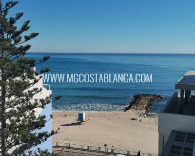 New Build - Penthouse - Torrevieja - Torrevieja - Playa de los Locos