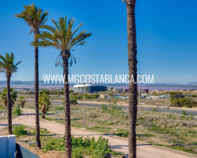 New Build - Villa / Semi detached - Torrevieja - Nueva Torrevieja - Aguas Nuevas